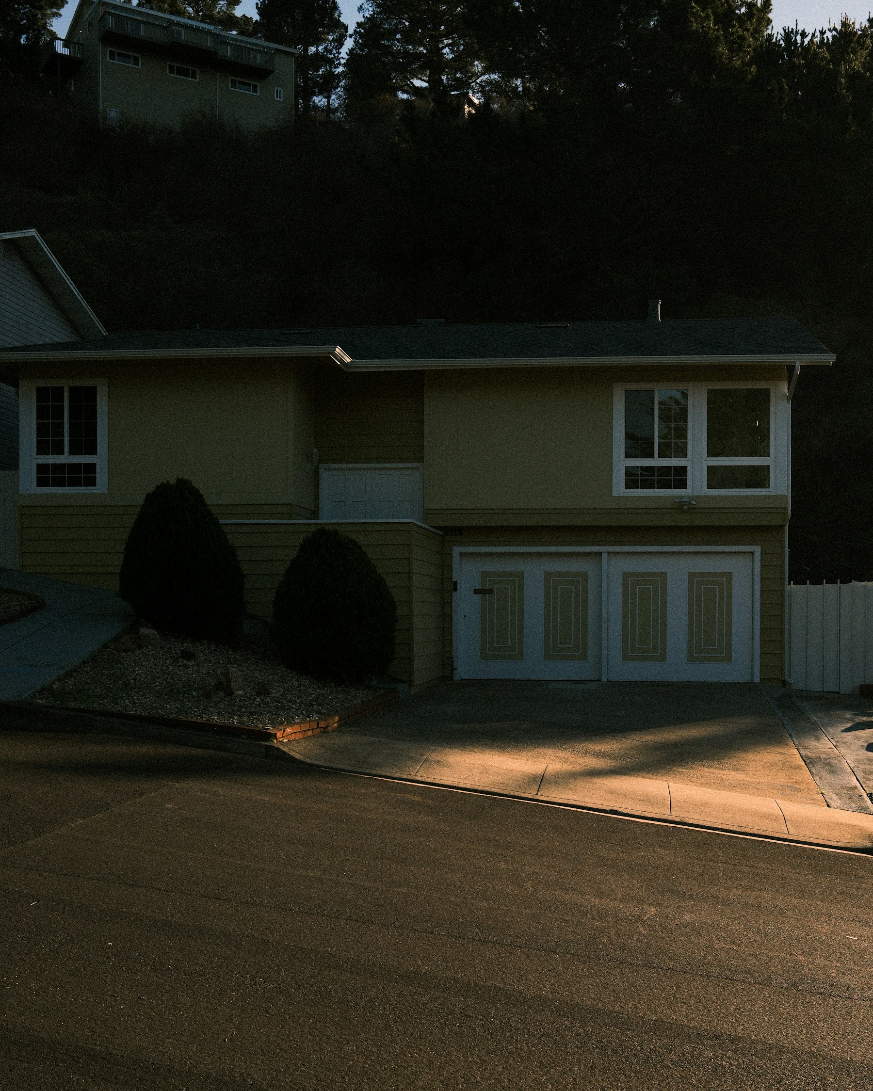 Suburban home with manicured bushes